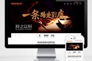 (自适应手机端)网站建设类pbootcms模板 响应式高端网络公司网站源码下载