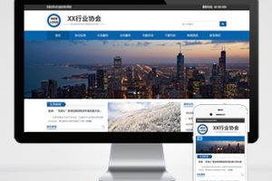 (自适应手机端)行业协会工会类网站pbootcms模板 机构单位网站源码下载