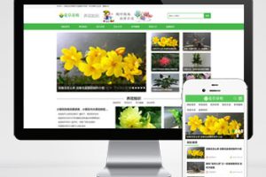 (PC+WAP)花卉养殖新闻资讯类pbootcms模板 绿色花草植物网站源码下载