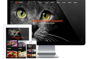 易优cms网站摄影人物风景写真类网站模板