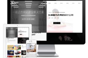 易优cms网站网站建设网络服务网站模板