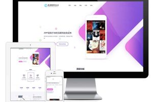 易优cms网站响应式网络软件网站模板