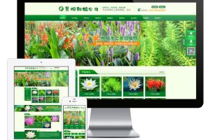 易优cms网站景观树木种植类网站模板