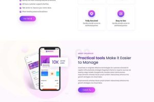 应用程序APP软件展示落地页静态html网站模板
